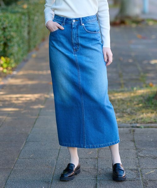 DRESSTERIOR（ドレステリア） ロングスカート 36 ブルー系その他