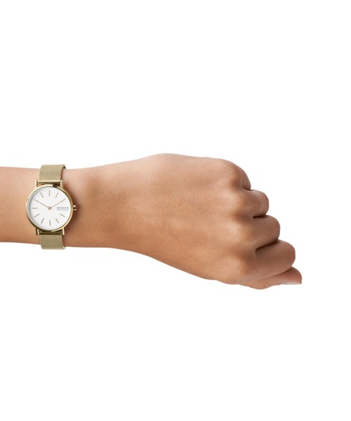 SKAGEN（スカーゲン） 腕時計 腕時計 レディース アナログ ステンレス