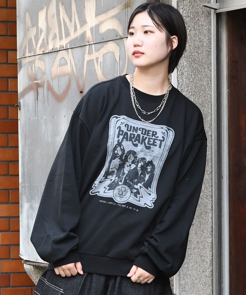 【すぐ届く】  フラッグクルーネックトレーナー TES BRISTER BIG SWEAT CREW NECK / クルーネックスウェット