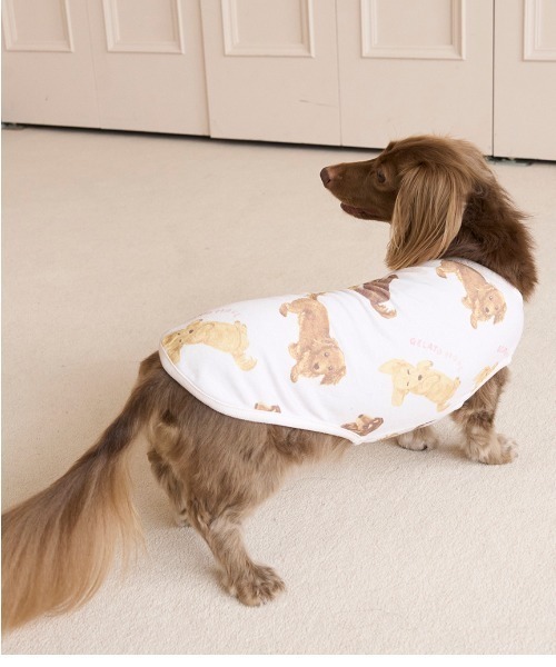 gelato pique（ジェラートピケ） 犬 服 「CAT＆DOG」ダックスフンド柄