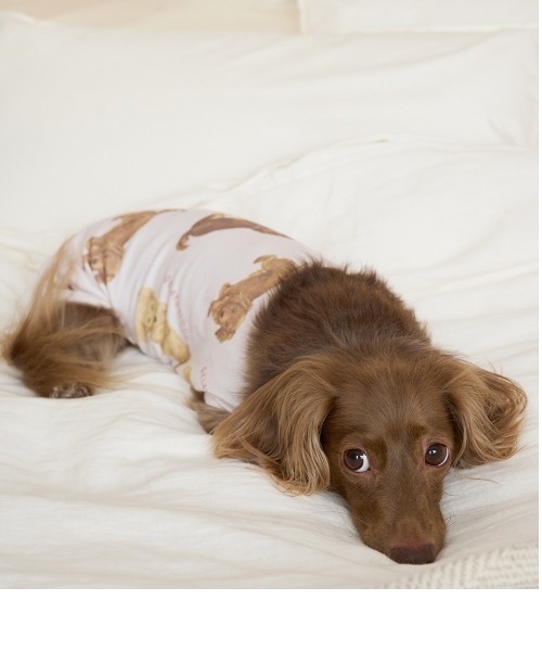 gelato pique（ジェラートピケ） 犬 服 「CAT＆DOG」ダックスフンド柄