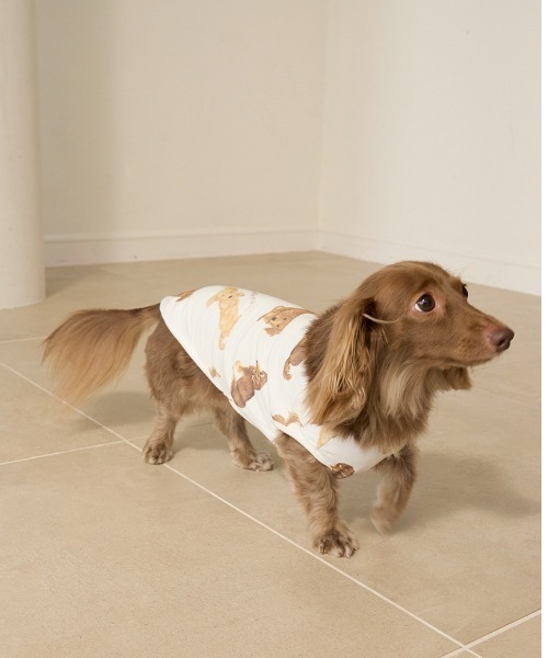 gelato pique（ジェラートピケ） 犬 服 「CAT＆DOG」ダックスフンド柄
