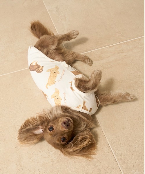 gelato pique（ジェラートピケ） 犬 服 「CAT＆DOG」ダックスフンド柄