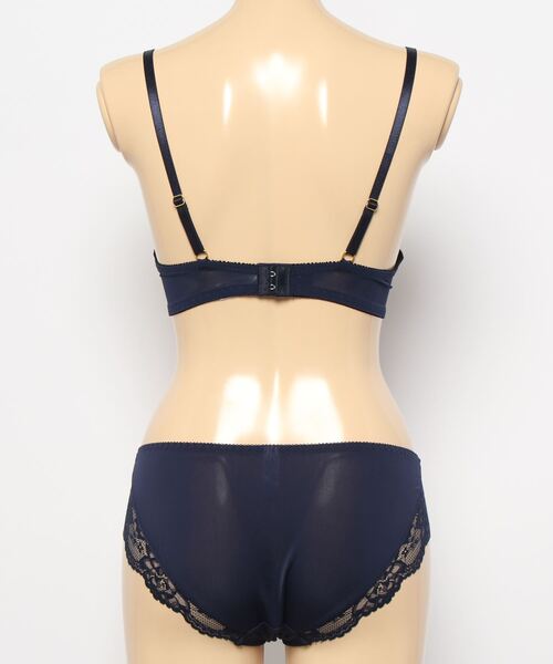 サルート　ローズガーデン　ブラジャー＆ショーツセット　豪華　入手困難 Absorle ブラジャー ショーツセット ローズミスティックガーデン