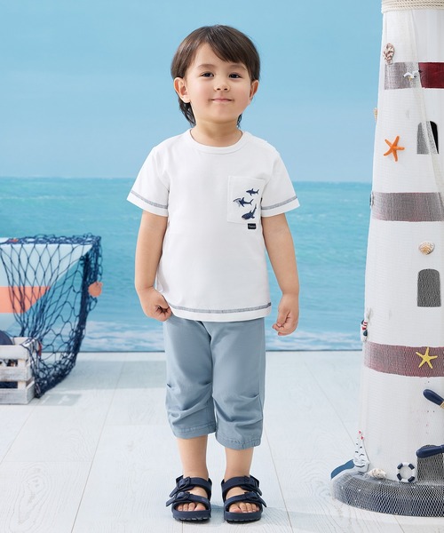 Combi mini tシャツ 半袖ポケットTシャツ（サメ） キッズ 子供服