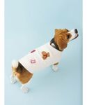 犬 服 「CAT&DOG」ベビモコベアサガラ刺...の詳細画像5