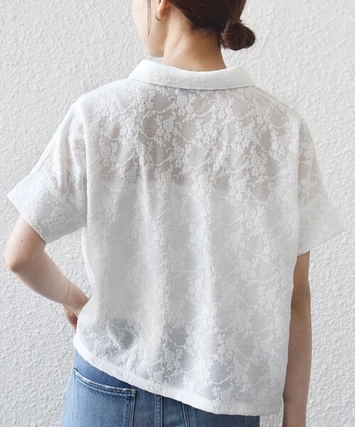 tシャツ 「WEB限定」「手洗い可能」シアー ジャカード ポロ 襟 ショート スリーブ プルオーバー レディースの画像