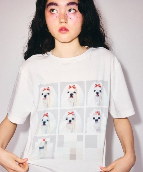 Candy Stripper（キャンディーストリッパー） tシャツ 半袖 SHIH TZU