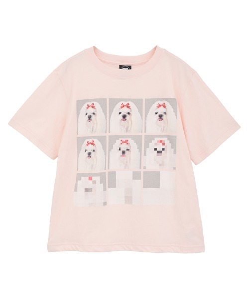Candy Stripper（キャンディーストリッパー） tシャツ 半袖 SHIH TZU