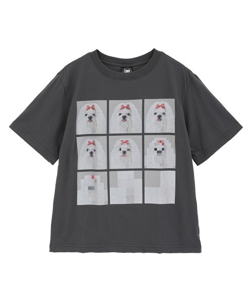 Candy Stripper（キャンディーストリッパー） tシャツ 半袖 SHIH TZU