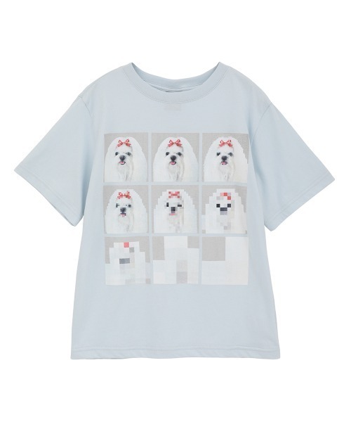 Candy Stripper（キャンディーストリッパー） tシャツ 半袖 SHIH TZU