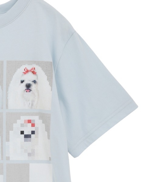 Candy Stripper（キャンディーストリッパー） tシャツ 半袖 SHIH TZU