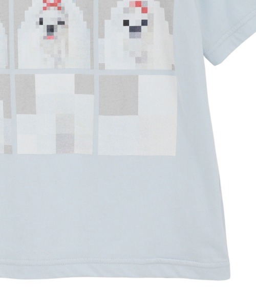 Candy Stripper（キャンディーストリッパー） tシャツ 半袖 SHIH TZU