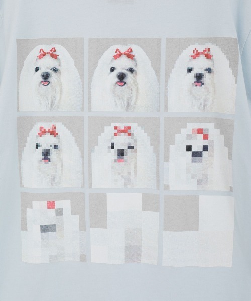 Candy Stripper（キャンディーストリッパー） tシャツ 半袖 SHIH TZU