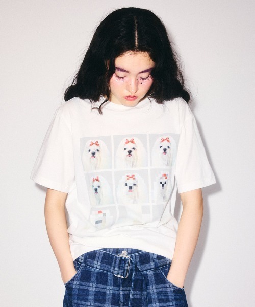 Candy Stripper（キャンディーストリッパー） tシャツ 半袖 SHIH TZU