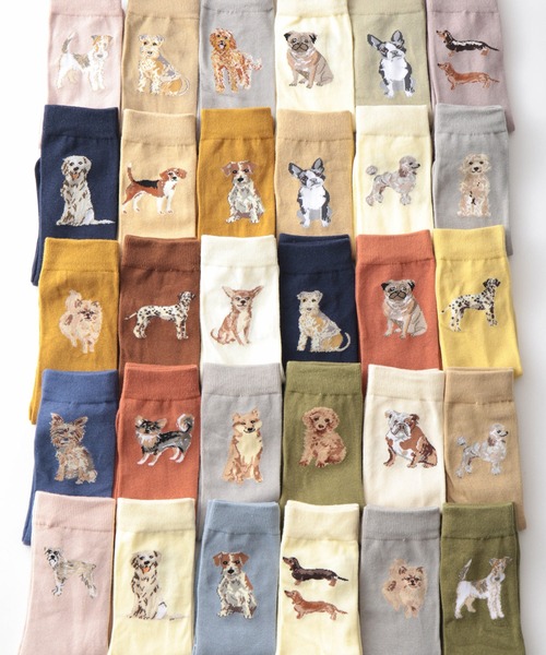 Jubilee 靴下 ドッグ 犬デザイン ソックス5足セット レディース