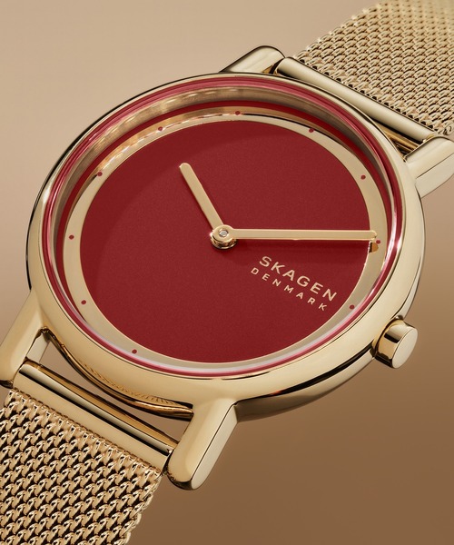 SKAGEN（スカーゲン） 腕時計 腕時計 レディース アナログ ステンレス