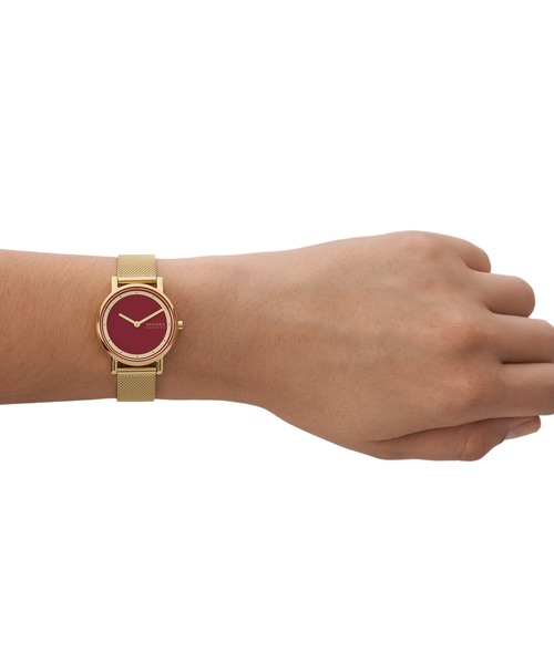 SKAGEN（スカーゲン） 腕時計 腕時計 レディース アナログ ステンレス