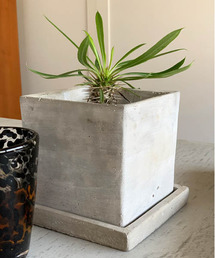 Supreme Mini Planters (Set of 3) DULTON鉢 Supreme Mini Planters (Set of 3) Multi 【公式通販】