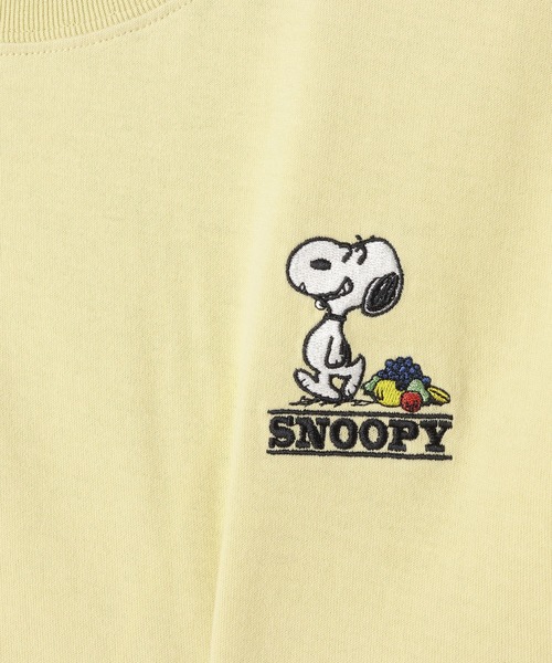 FRUIT OF THE LOOM（フルーツオブザルーム） tシャツ 「FRUIT OF THE