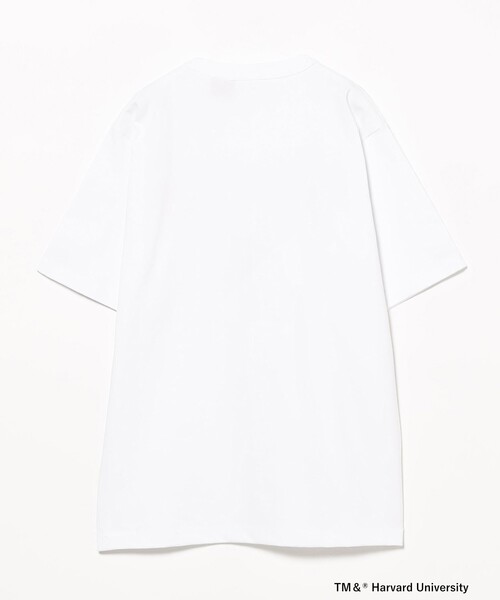 tシャツ Champion / T1011 ショートスリーブ Tシャツ 25SS レディース Champion tシャツ / T1011 ショートスリーブ Tシャツ 25SS