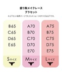 ブラジャー ショーツセット 「デザインが選べる...の詳細画像1