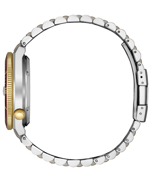 腕時計 CITIZEN COLLECTION シチズンコレクション メカニカル TSUYOSA NJ0234-58X メンズの画像