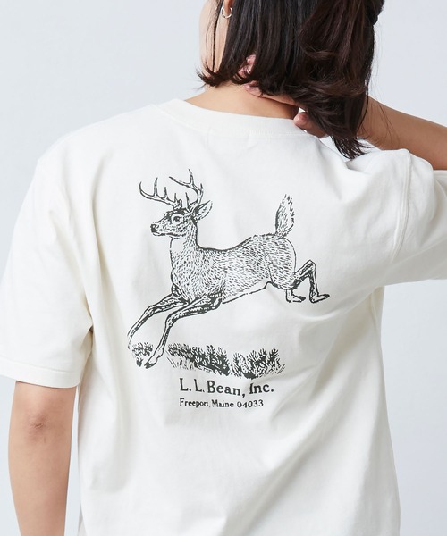 tシャツ 「JAPAN EDITION」モリル・ショートスリーブ・アニマル・グラフィック・ティ レディース L.L.Bean｜【JAPAN EDITION】モリル・ショートスリーブ