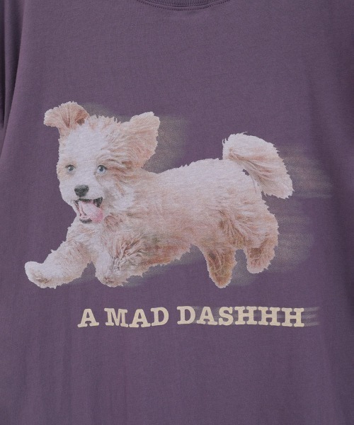 Candy Stripper（キャンディーストリッパー） tシャツ 半袖 MAD DASH