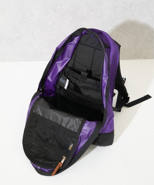 GREGORY ファインデイ ウルトラバイオレット　美品　デイパック GREGORY デイバック リュック 「GREGORY/グレゴリー」ファイン