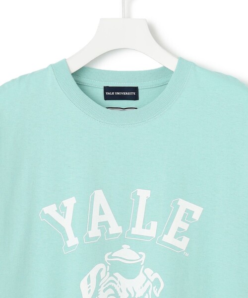 J.PRESS YORK STREET tシャツ 「UNISEX」YALE ブルフェイス Tシャツ 