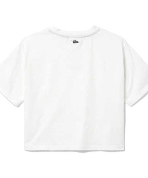 LACOSTE ラコステ クラシックフィット プレミアムコットンT