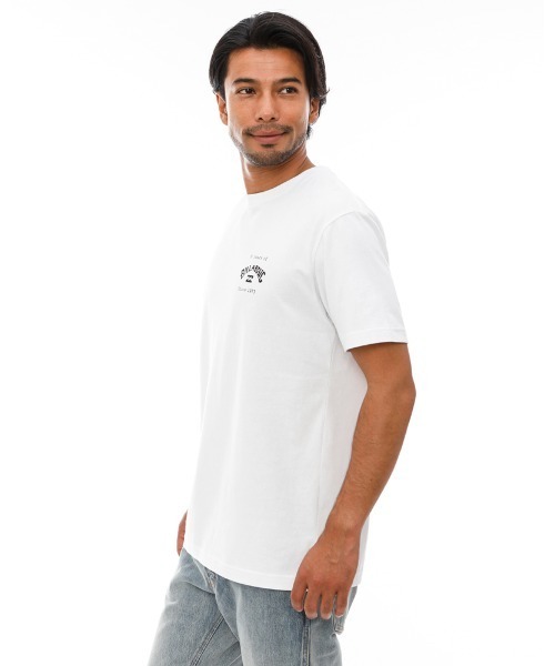 「BILLABONG」 半袖Tシャツ LARGE クリーム メンズ_画像6