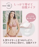 ブラジャー ショーツセット 「WEB限定」「プ...の詳細画像1