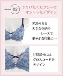 ブラジャー ショーツセット 「WEB限定」「プ...の詳細画像2