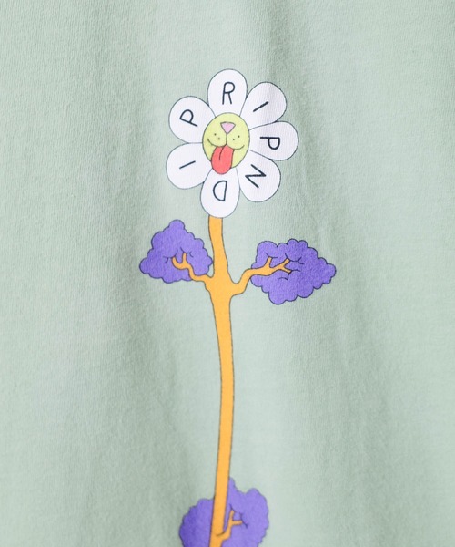 tシャツ 「T9」「RIPNDIP/リップンディップ」PLANT BASED LOGO L/S TEE プラント ベース ロゴ ロングスリーブ Tシャ RIPNDIP tシャツ 「T9」「RIPNDIP/リップンディップ」PLANT
