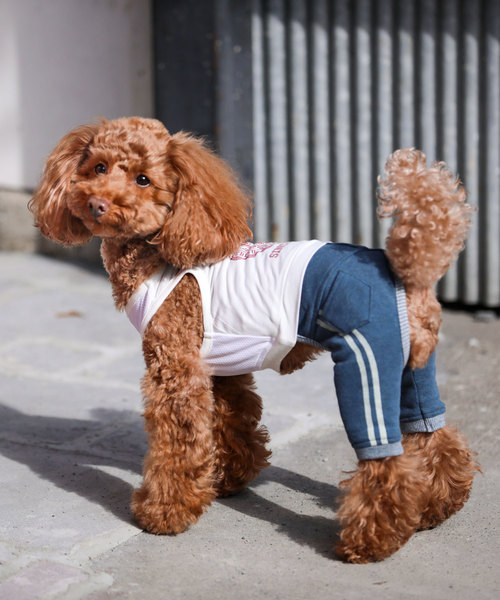 りいぬい服 OUTDOORタイダイスーパークールウエア 犬服 ペットウェア ペット