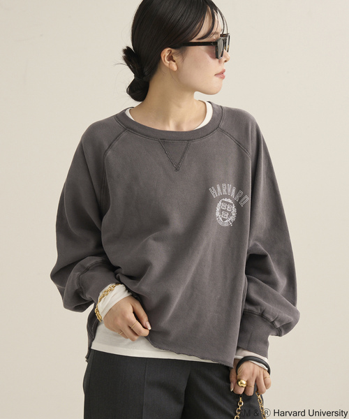ベージュ 長袖 トップス シアー生地長袖クルーネックトップス（Tシャツ/カットソー
