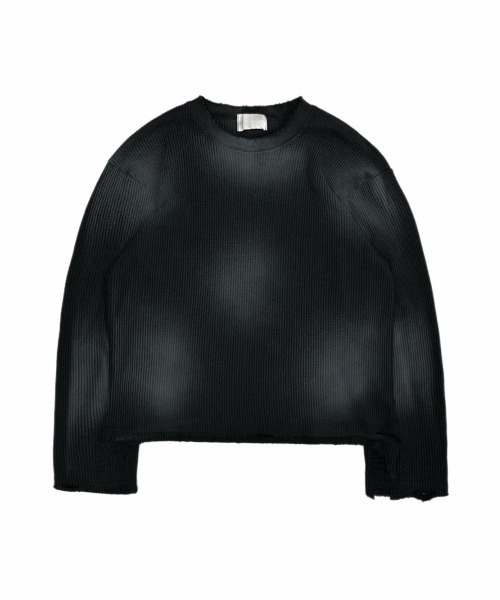 Chikashitsu+（チカシツプラス） tシャツ 「Chikashitsu +」washed