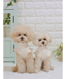TONE 犬 服 「poteco」「再入荷」「大人気」フリルリブタンクトップ/犬