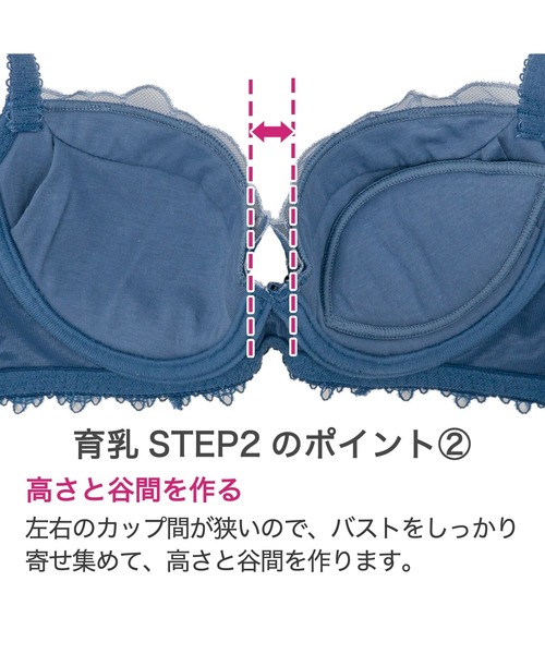 ブラデリス ローズステップ2ブラ24S1 （ブルー　65C/30C) セール】ローズステップ2ブラ24S1 ブラデリス 育乳補整 補正下着
