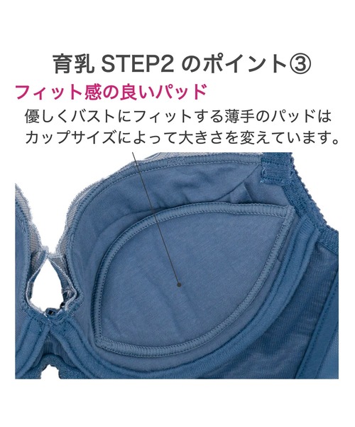 BRADELIS NewYork（ブラデリスニューヨーク） ブラジャー ローズ