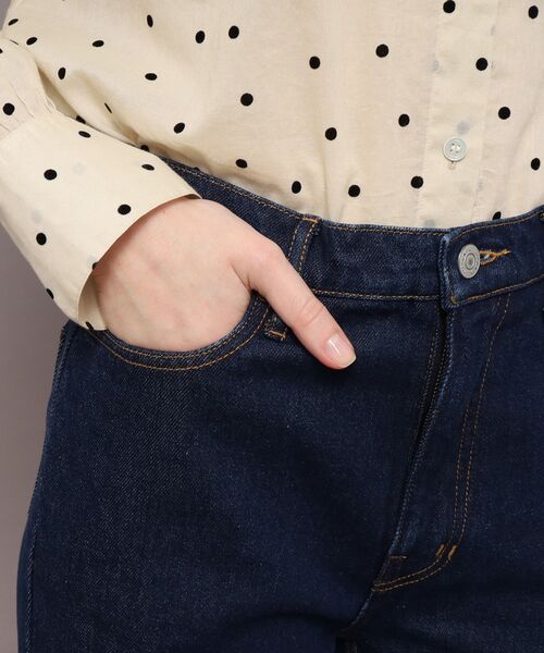 DRESSTERIOR ドレステリア デニムパンツ 38(M位) 0123725E0032 公式】DRESSTERIOR（ドレステリア）の通販 | デニムパンツ通販