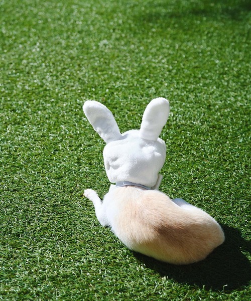 ROPE' PICNIC（ロペ ピクニック） 犬 服 「DOG」イースターうさぎ犬