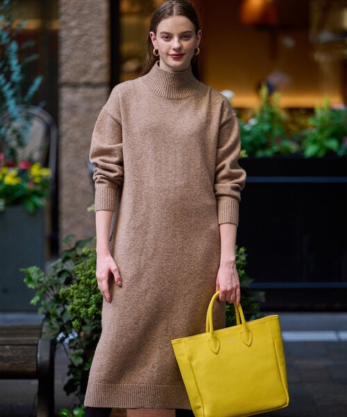 DRESSTERIOR（ドレステリア） ニットワンピース 38 ブラウン系その他