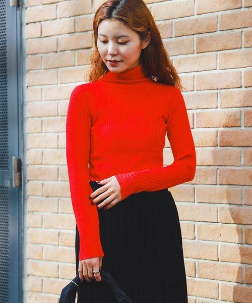 Ray BEAMS（レイ ビームス） ニット セーター 14ゲージ リブ タートル