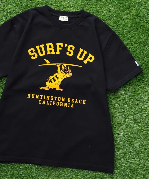 The Endless Summer（エンドレスサマー） tシャツ TES SURFS UP FLOCKY