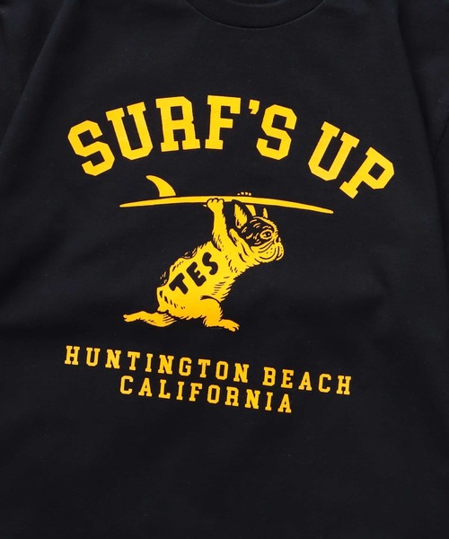 The Endless Summer（エンドレスサマー） tシャツ TES SURFS UP FLOCKY