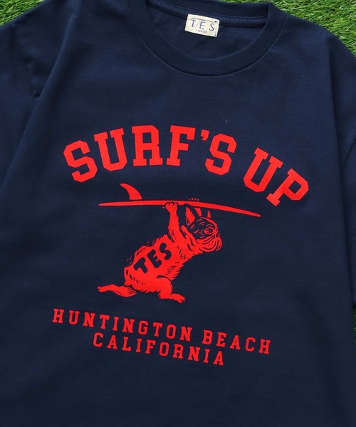 The Endless Summer（エンドレスサマー） tシャツ TES SURFS UP FLOCKY