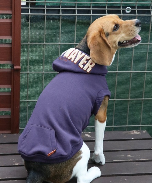 KRIFF MAYER（クリフメイヤー） 犬 服 「犬服・乾きやすい」DOGサガラ